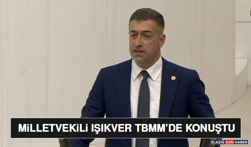 Milletvekili Işıkver TBMM’de Konuştu