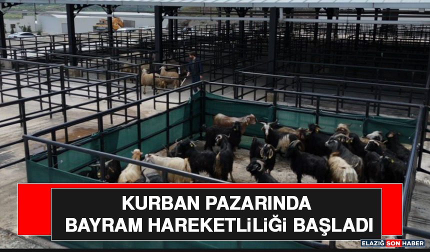 Kurban Pazarında Bayram Hareketliliği Başladı