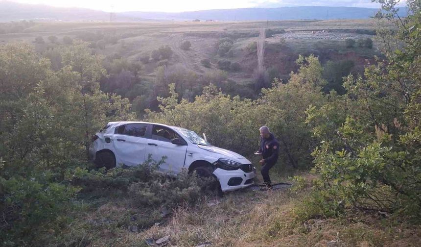 Bingöl'de otomobil şarampole yuvarlandı