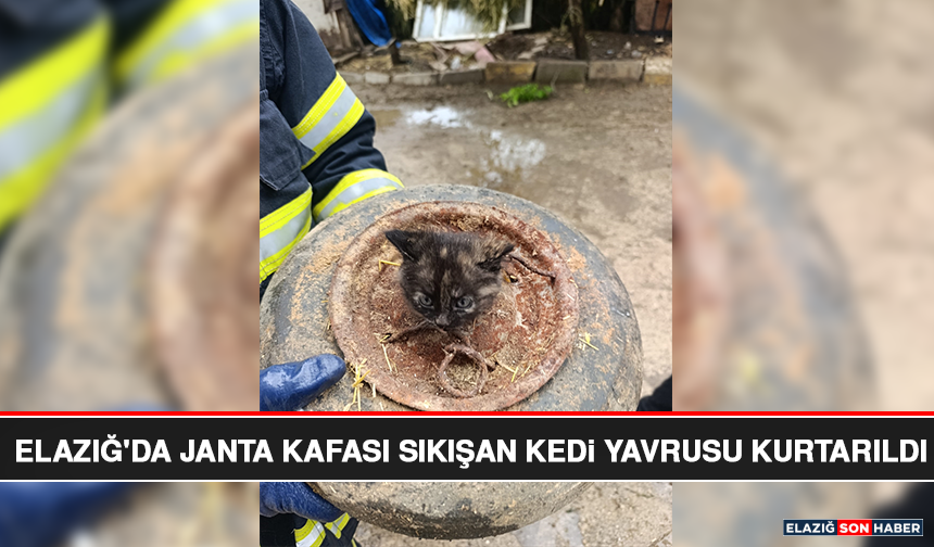 Elazığ'da Janta Kafası Sıkışan Kedi Yavrusu Kurtarıldı