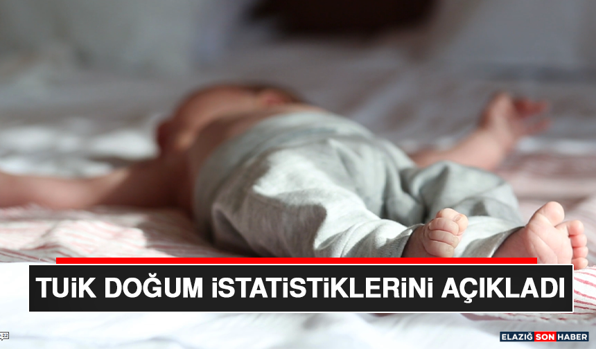 TUİK Doğum İstatistiklerini Açıkladı