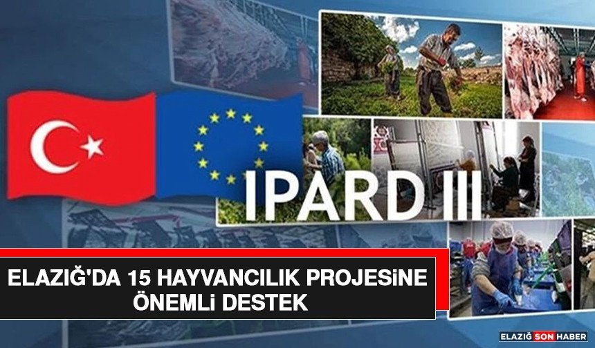 Elazığ'da 15 Hayvancılık Projesine Önemli Destek