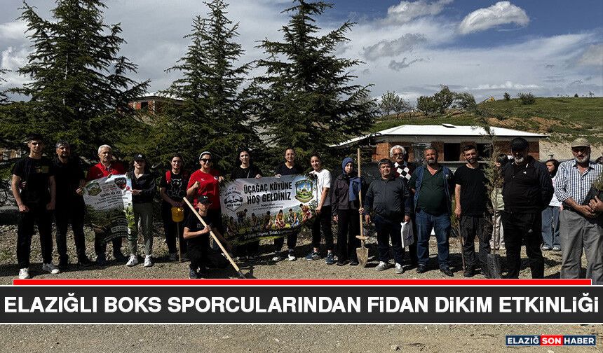 Elazığlı Boks Sporcularından Fidan Dikim Etkinliği