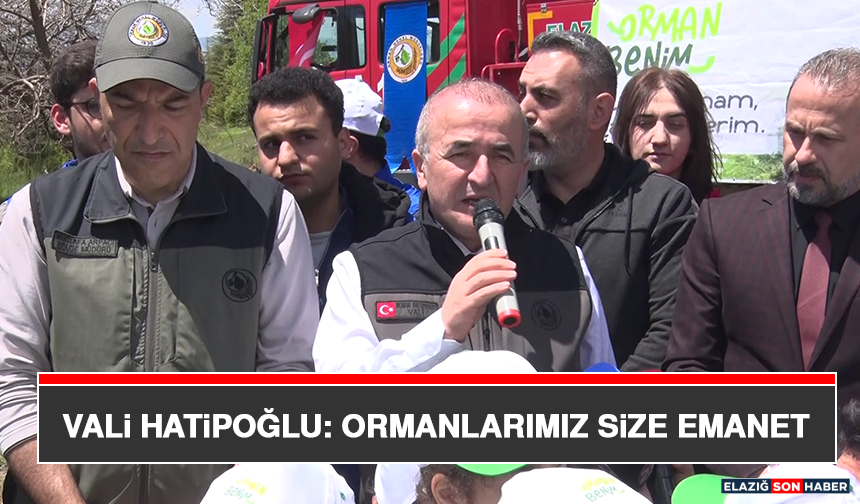 Vali Hatipoğlu: Ormanlarımız Size Emanet