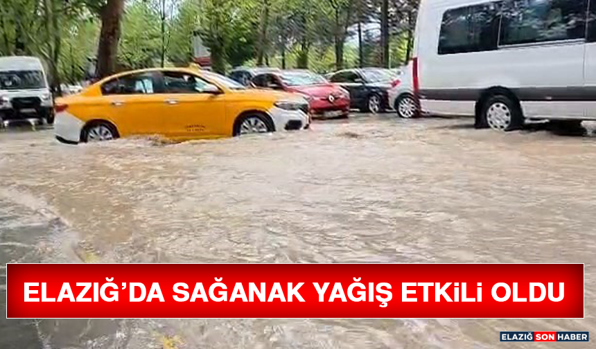 Elazığ’da Sağanak Yağış Etkili Oldu