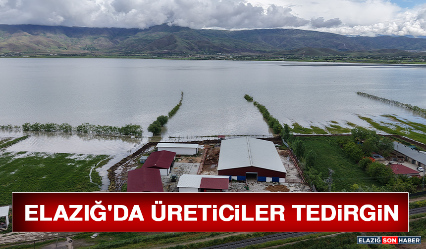 Elazığ'da Üreticiler Tedirgin