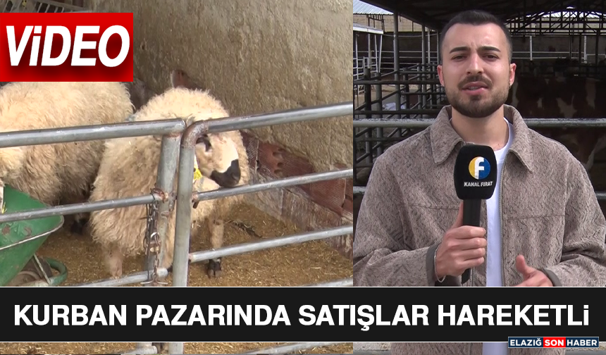 Kurban Pazarında Satışlar Hareketli