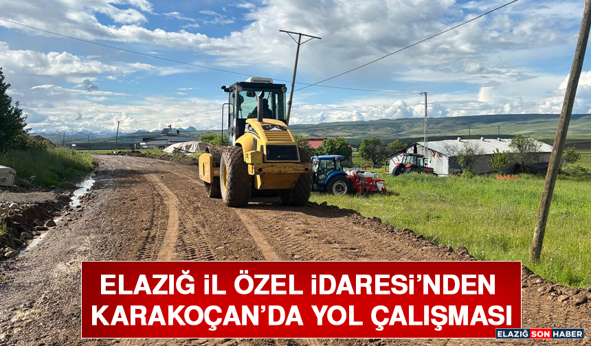 Elazığ İl Özel İdaresi’nden Karakoçan’da Yol Çalışması