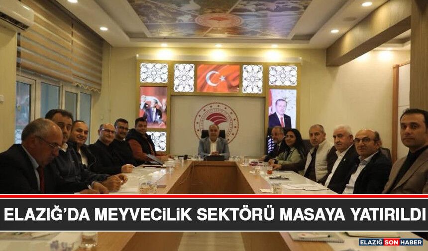 Elazığ’da Meyvecilik Sektörü Masaya Yatırıldı