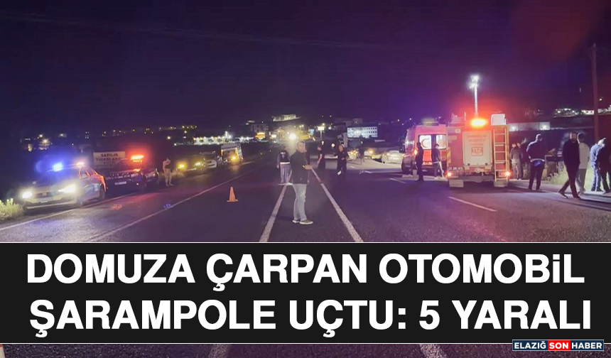 Domuza Çarpan Otomobil Şarampole Uçtu: 5 Yaralı