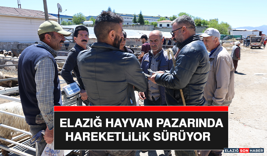 Elazığ Hayvan Pazarında Hareketlilik Sürüyor