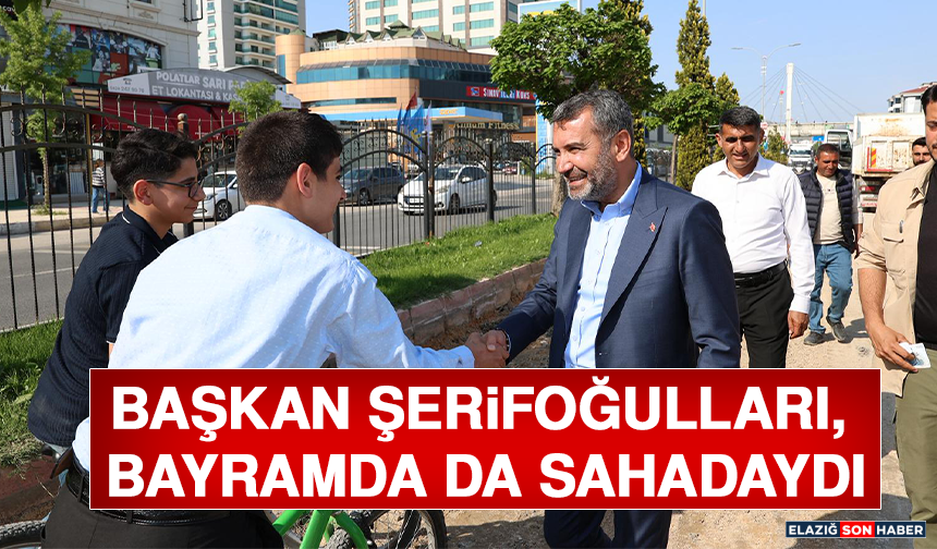 Başkan Şerifoğulları, Bayramda da Sahadaydı