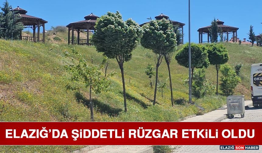 Elazığ’da Şiddetli Rüzgar Etkili Oldu