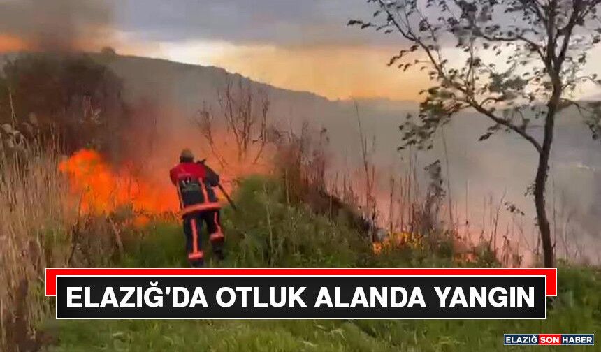 Elazığ'da Otluk Alanda Yangın