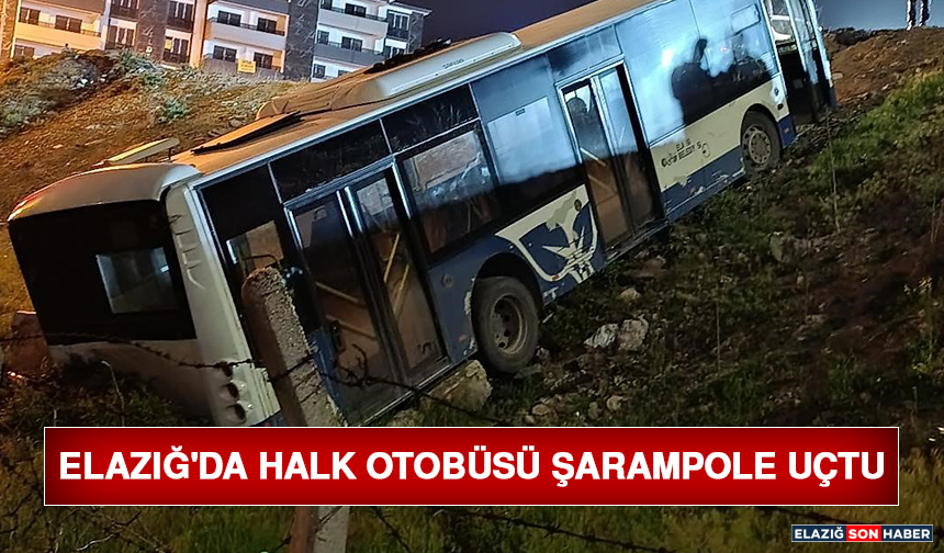 Elazığ'da Halk Otobüsü Şarampole Uçtu