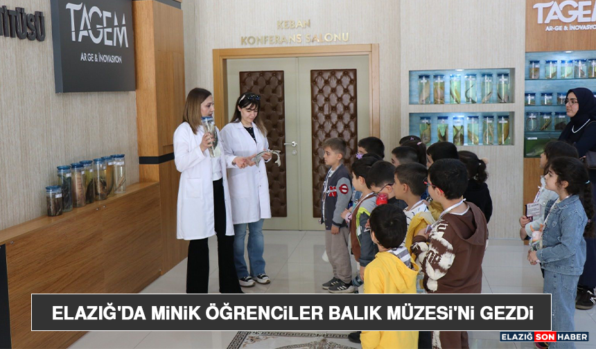 Elazığ'da Minik Öğrenciler Balık Müzesi'ni Gezdi