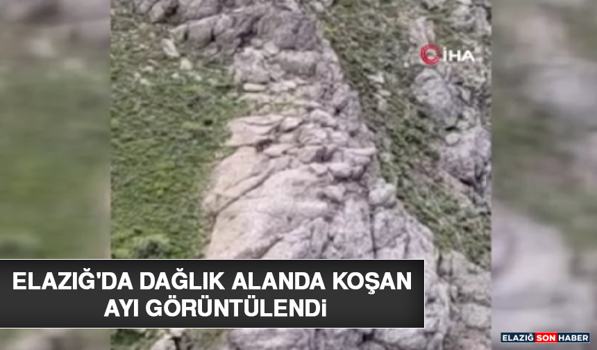 Elazığ'da Dağlık Alanda Koşan Ayı Görüntülendi