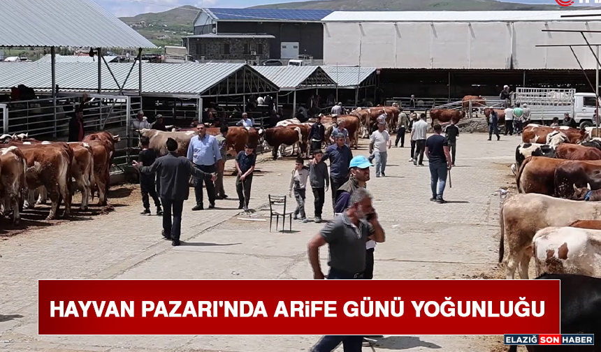 Hayvan Pazarı'nda Arife Günü Yoğunluğu