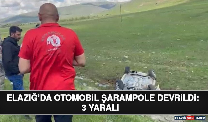 Elazığ’da Otomobil Şarampole Devrildi: 3 Yaralı