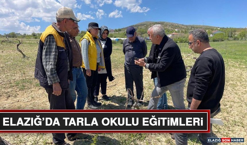 Elazığ’da Tarla Okulu Eğitimleri