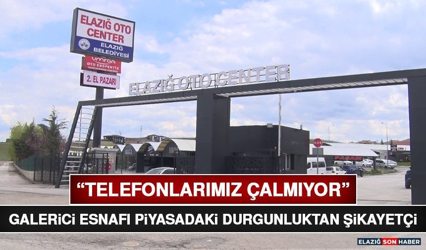 “Telefonlarımız Çalmıyor”: Galerici Esnafı Piyasadaki Durgunluktan Şikayetçi