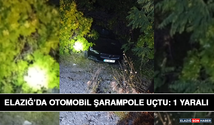Elazığ’da Otomobil Şarampole Uçtu: 1 Yaralı