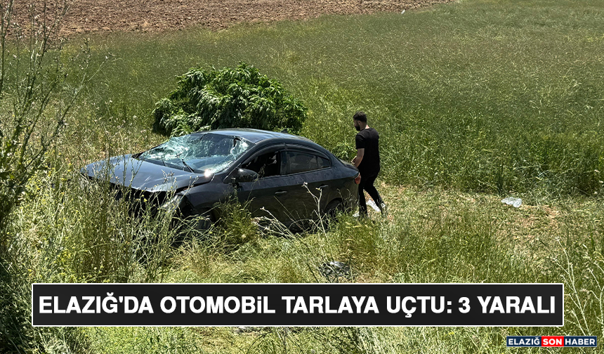 Elazığ'da Otomobil Tarlaya Uçtu: 3 Yaralı