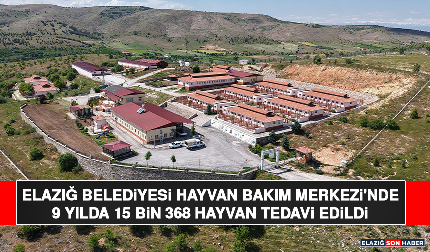 Elazığ Belediyesi Hayvan Bakım Merkezi'nde 9 Yılda 15 Bin 368 Hayvan Tedavi Edildi