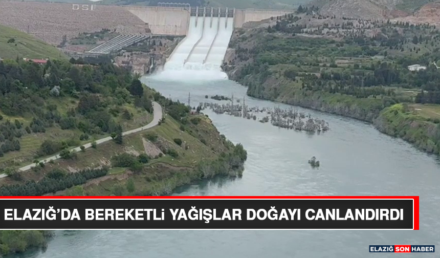 Elazığ’da Bereketli Yağışlar Doğayı Canlandırdı