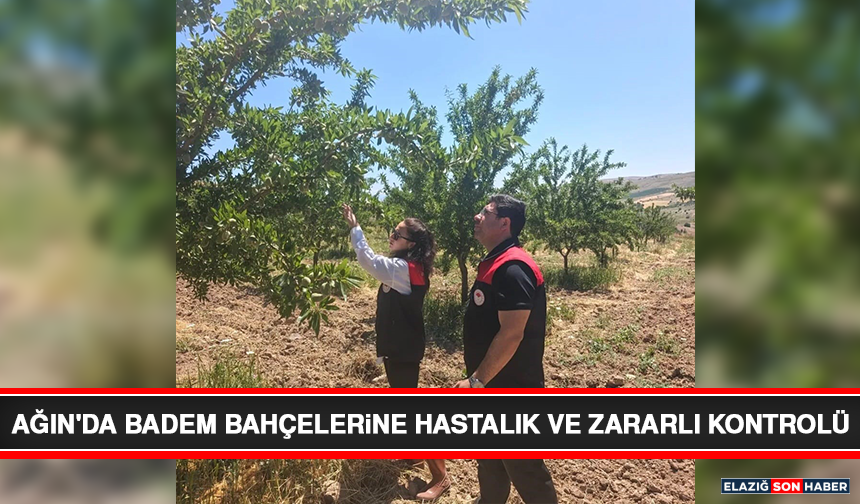 Ağın'da Badem Bahçelerine Hastalık ve Zararlı Kontrolü