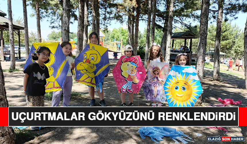 Uçurtmalar Gökyüzünü Renklendirdi