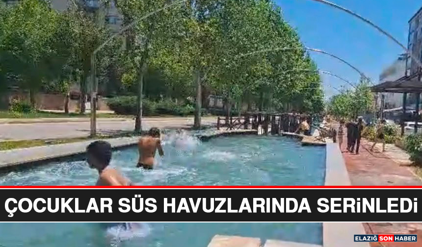 Çocuklar Süs Havuzlarında Serinledi