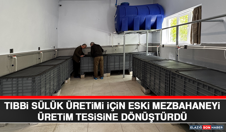 Tıbbi Sülük Üretimi İçin Eski Mezbahaneyi Üretim Tesisine Dönüştürdü
