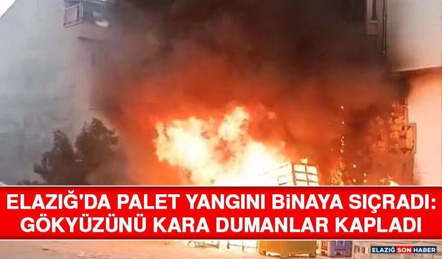 Elazığ'da Palet Yangını Binaya Sıçradı: Gökyüzünü Kara Dumanlar Kapladı