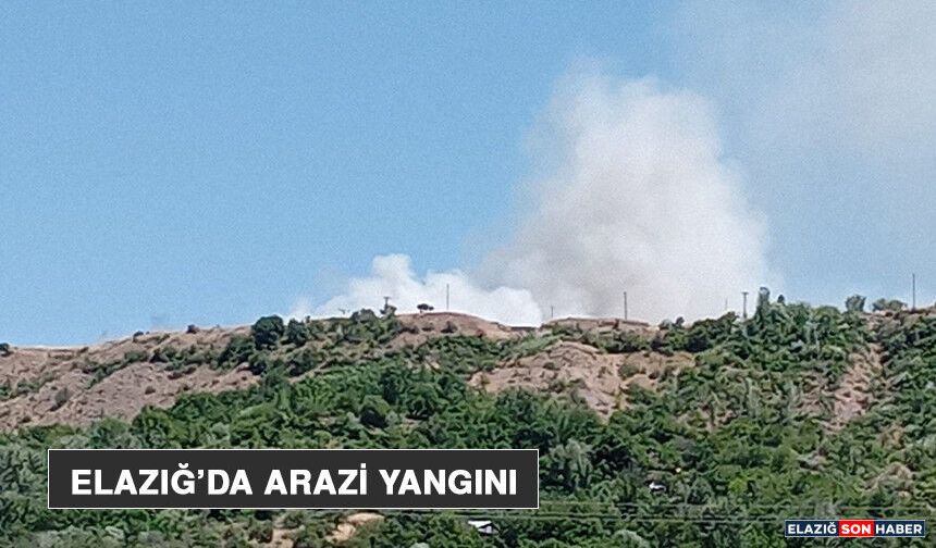Elazığ’da Arazi Yangını