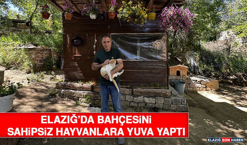 Elazığ’da Bahçesini Sahipsiz Hayvanlara Yuva Yaptı