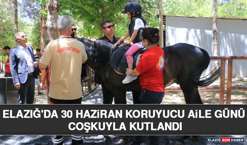 Elazığ'da 30 Haziran Koruyucu Aile Günü Coşkuyla Kutlandı