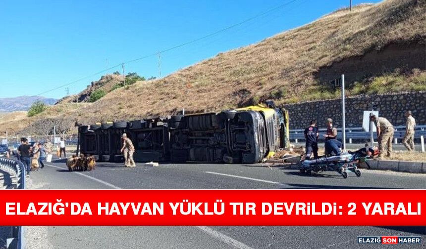 Elazığ'da Hayvan Yüklü Tır Devrildi: 2 Yaralı
