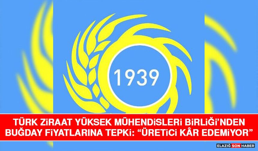 Türk Ziraat Yüksek Mühendisleri Birliği’nden Buğday Fiyatlarına Tepki: “Üretici Kâr Edemiyor”