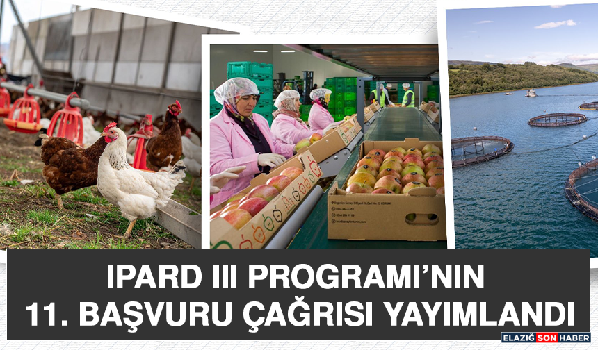 IPARD III Programı’nın 11. Başvuru Çağrısı Yayımlandı