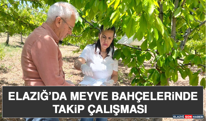 Elazığ’da Meyve Bahçelerinde Takip Çalışması
