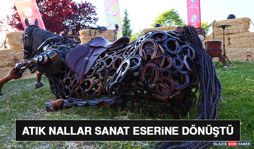 Atık Nallar Sanat Eserine Dönüştü