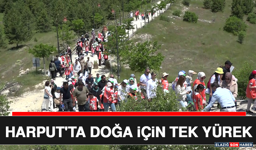 Harput'ta Doğa İçin Tek Yürek
