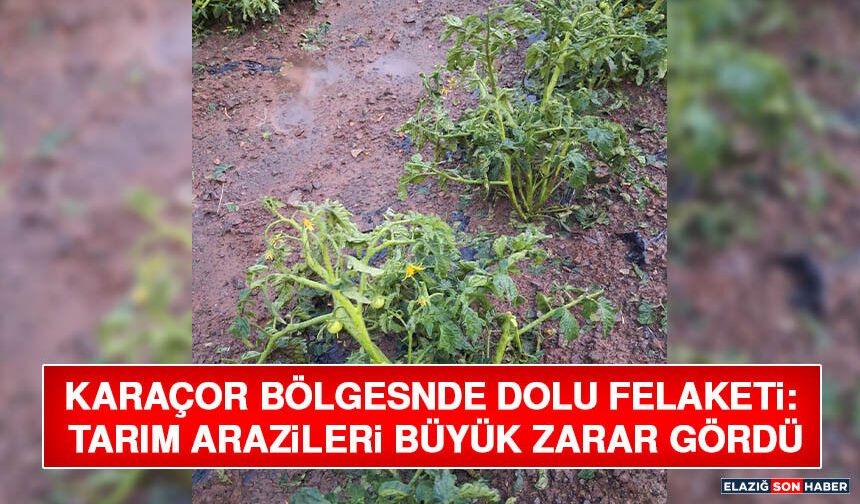 Karaçor Bölgesnde Dolu Felaketi: Tarım Arazileri Büyük Zarar Gördü