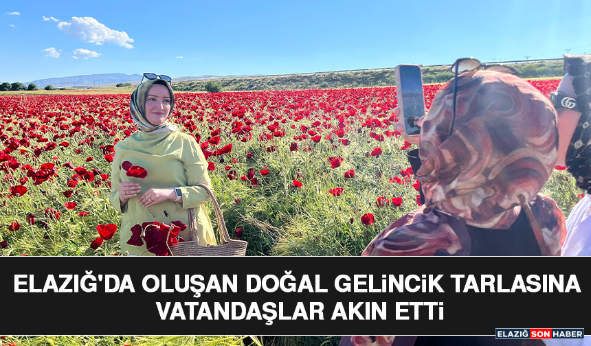 Elazığ'da Oluşan Doğal Gelincik Tarlasına Vatandaşlar Akın Etti