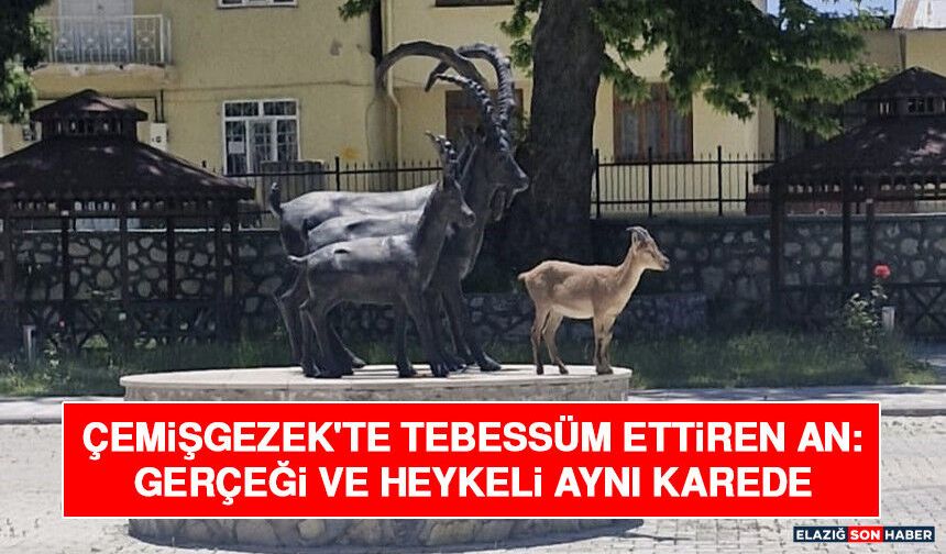 Çemişgezek'te Tebessüm Ettiren An: Gerçeği ve Heykeli Aynı Karede
