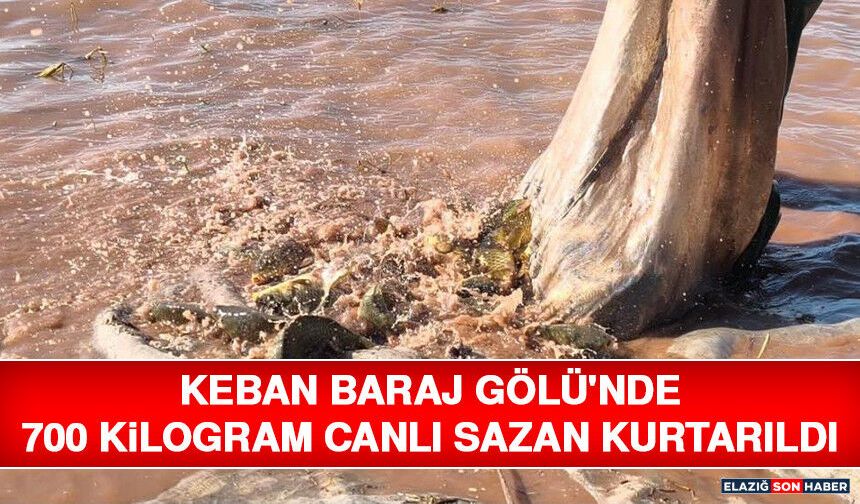 Keban Baraj Gölü'nde 700 Kilogram Canlı Sazan Kurtarıldı