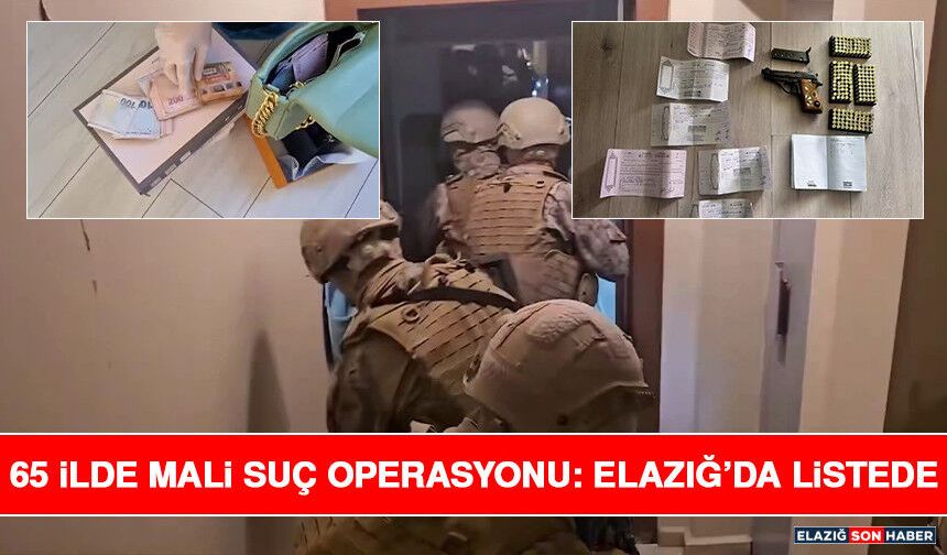 65 İlde Mali Suç Operasyonu: Elazığ’da Listede