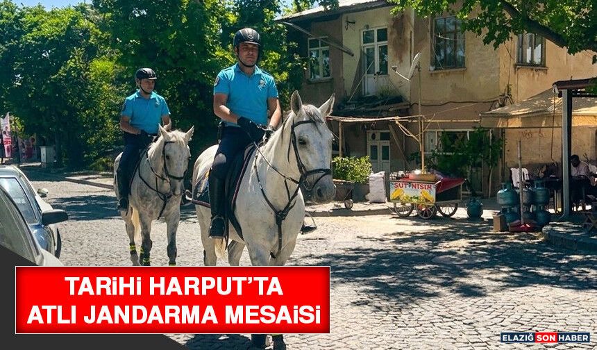 Tarihi Harput’ta Atlı Jandarma Mesaisi
