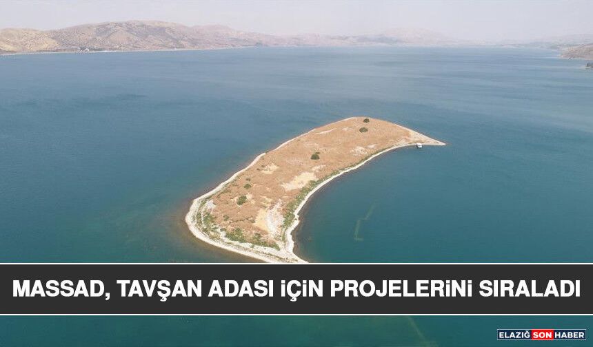 MASSAD, Tavşan Adası İçin Projelerini Sıraladı